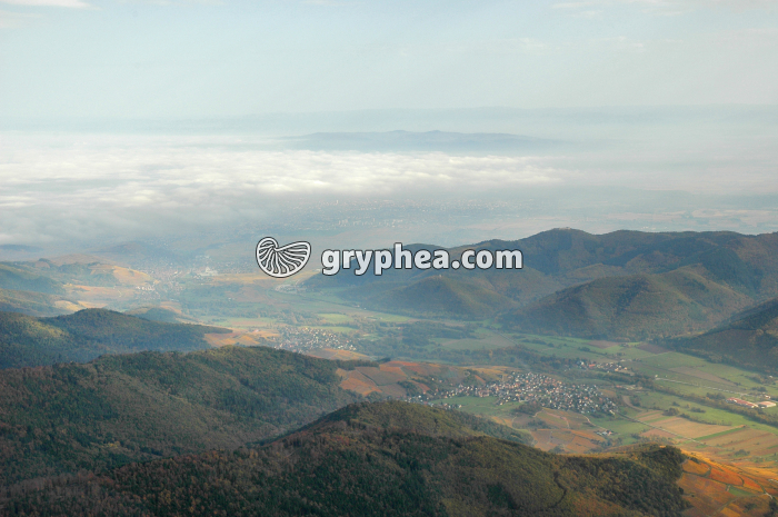 Relief granitique érodé et vallée (Vosges) - gryphea.com